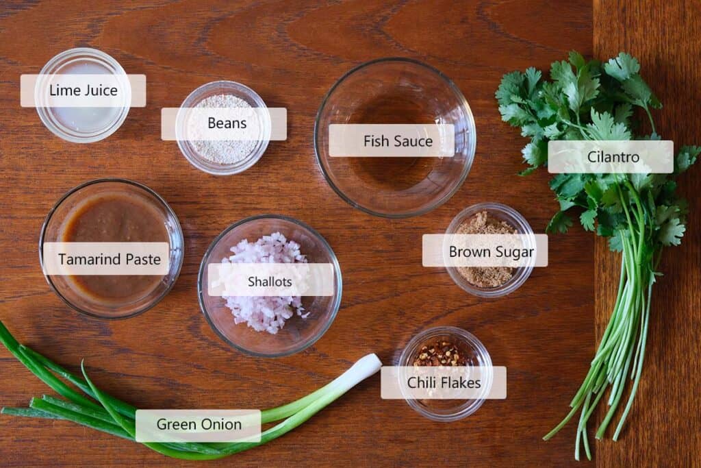 Top-down view of ingredients for a Thai dipping sauce recipe (Nam Jim Jeaw) including tamarind paste, fish sauce, lime, brown sugar, chili flakes, shallots, cilantro, green onion, and toasted rice powder.