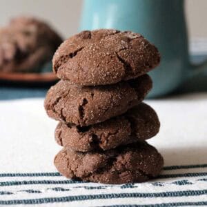 Stack of Mexican Chocolate Cookies rolled in cinnamon sugar with a mug of hot cocoa in the background.